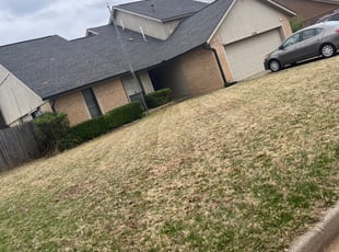 Bush Trimming by Matthew Spires for Dawn H. in Midwest City, OK