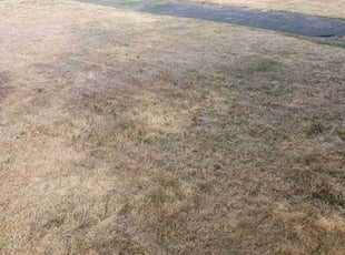 Muriel V.'s Lawn Care service result