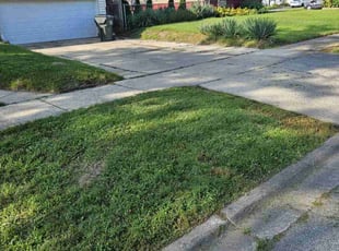 Mike P.'s Lawn Service service result