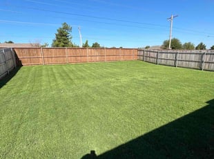 Hilda V.'s Grass Cutting service result