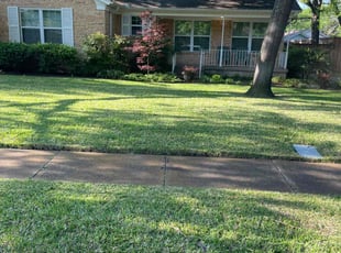Kristy E.'s Lawn Care service result