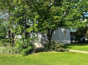 Shaun G.'s Lawn Service service result