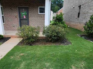 Bush Trimming by Andrew "Jordan" Shelton for Andrea T. in Mint Hill, NC