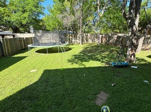 Katrina D.'s Lawn Care service result