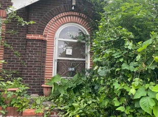 Bush Trimming by Demetrius Ford for Ed L. in St. Louis, MO