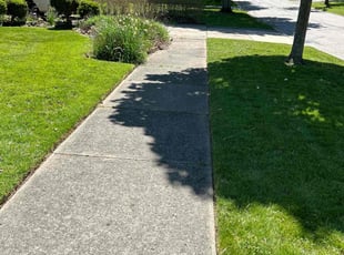 Bunny A.'s Lawn Service service result