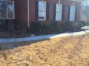 Bush Trimming by Joshua Boyd for Chris S. in Mableton, GA