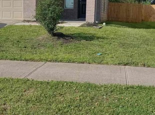Robin T.'s Lawn Maintenance service result