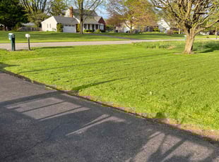 Danielle w.'s Grass Cutting service result
