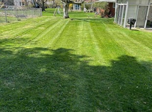 Sarah L.'s Lawn Mowing service result