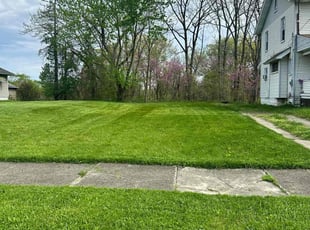 Brandon M.'s Lawn Mowing service result