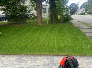 Samantha K.'s Lawn Service service result