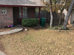 Bush Trimming by Quentin Morgan for Renee B. in Denton, TX