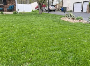 Tom S.'s Lawn Service service result