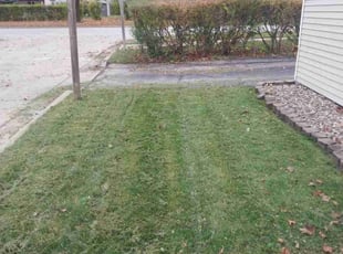 Rahni J.'s Lawn Care service result