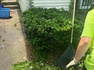 Bush Trimming by Arcadio Reyes for Patrick M. in Hartford, CT