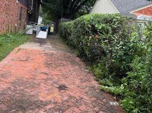 Bush Trimming by Maria Hernandez for Barry m. in Dallas, TX