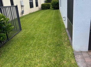 Aurelia C.'s Lawn Care service result
