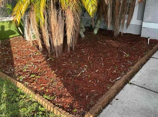 Weeding by Corey Johnson for Travis M. in Riverview, FL