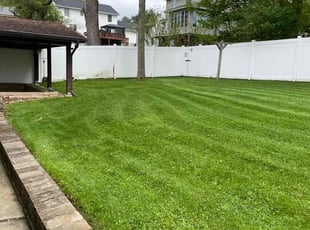 Ahjee F.'s Lawn Service service result