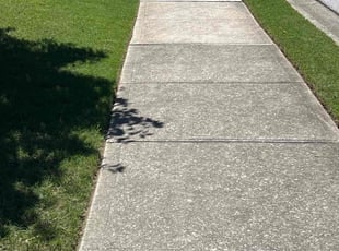 Wendell H.'s Yard Cutting service result
