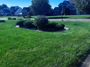 Bob R.'s Lawn Mowing service result