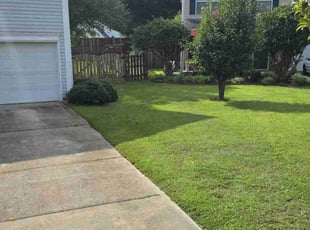 Charles B.'s Lawn Maintenance service result