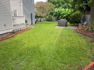 Michael M.'s Lawn Mowing Service service result