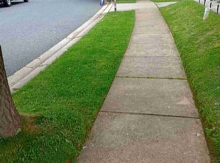 Anthony S.'s Grass Cutting service result