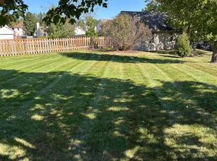 Linda C.'s Lawn Care service result