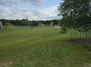 Kat R.'s Lawn Mowing service result