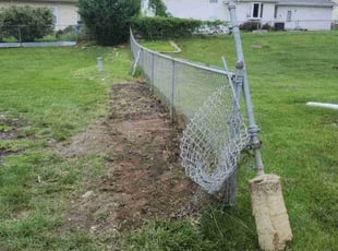 Leaf Removal by Christopher Hayner for Ann S. in Omaha, NE