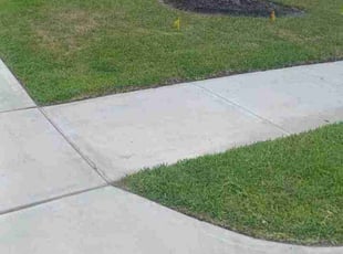 Cleanups by Omar Norris for Megan T. in Houston, TX