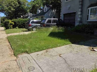 Weeding by Frank Gallo for Denice C. in Uniondale, NY