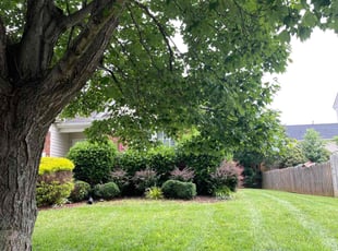 Page w.'s Lawn Service service result
