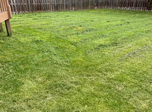 Joyce W.'s Lawn Maintenance service result