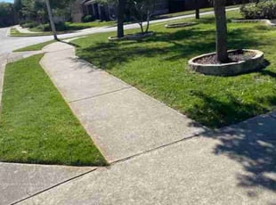Ranjan N.'s Lawn Mowing service result