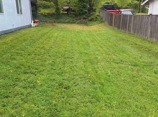 Obie M.'s Lawn Care service result