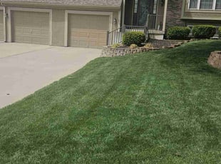 Judith V.'s Lawn Care service result