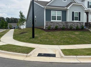 Sandra D.'s Lawn Mowing service result