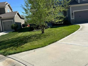 Erica E.'s Yard Cutting service result