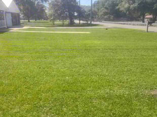 Robert F.'s Lawn Maintenance service result