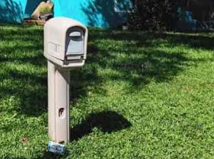 William S.'s Lawn Care service result