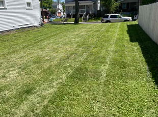 Mary N.'s Lawn Mowing service result