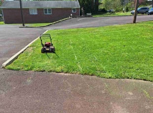 Cheryl C.'s Grass Cutting service result