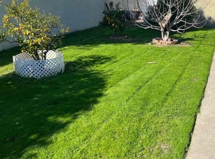 Christopher h.'s Lawn Maintenance service result