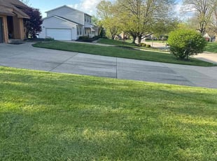 Michael R.'s Grass Cutting service result