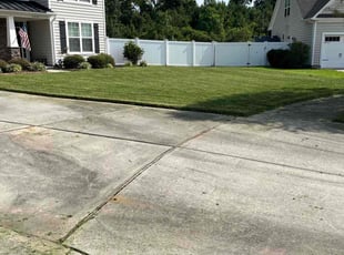Robert C.'s Lawn Mowing service result