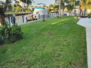 Angel A.'s Lawn Maintenance service result