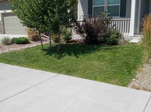 Kareem W.'s Lawn Care service result